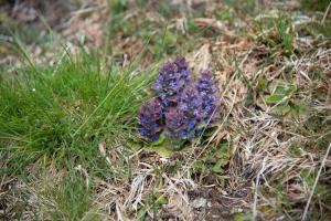 20210520114116_AT_Steiermark_0077