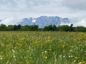 20210607102149_AT_Oberoesterreich_0140