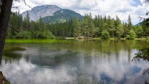 20210707143258_AT_Steiermark_0037-Pano