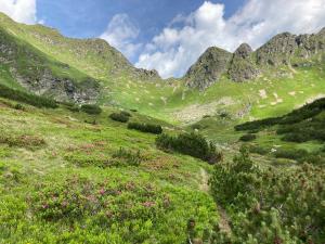 20210708105903_AT_Steiermark_0194