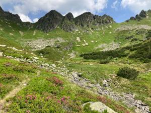 20210708110142_AT_Steiermark_0199