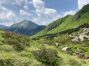 20210708110544_AT_Steiermark_0200