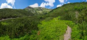 20210710123117_AT_Steiermark_0261-Pano