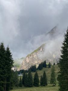 20210817104553_AT_Salzburg_0135