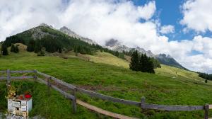 20210818140936_AT_Salzburg_0182-Pano