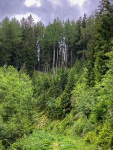 20220610145350_AT_Steiermark_0077