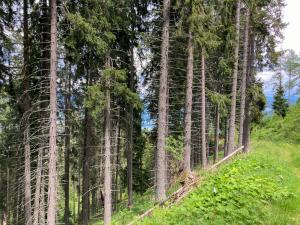 20220610150139_AT_Steiermark_0079