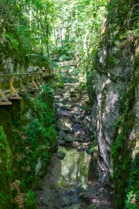 20220713103957_AT_Steiermark_0024