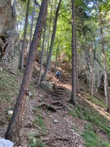 20220713113339_AT_Steiermark_0037