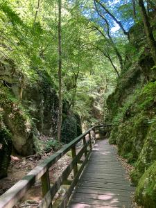 20220713125347_AT_Steiermark_0051