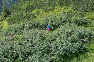 20220714111803_AT_Steiermark_2357