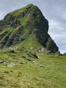 20220714131542_AT_Steiermark_6411