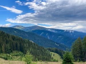 20220715100125_AT_Steiermark_6420