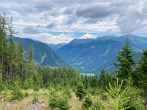 20220715110020_AT_Steiermark_6436