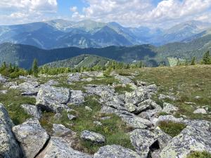 20220716120950_AT_Steiermark_6508