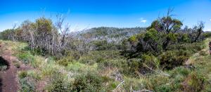 20230125105538_AU_NSW_3594-Pano