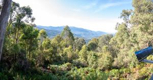 20230126090213_AU_NSW_3655-Pano