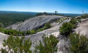 20230211102139_AU_NSW_4448-Pano