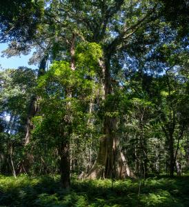 20230218092410_AU_QLD_4792-Pano