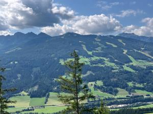 20240716104002_AT_Steiermark_4924