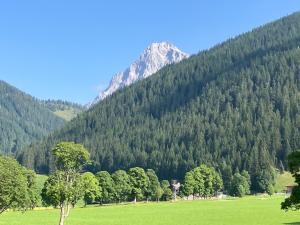 20240719092914_AT_Steiermark_5041