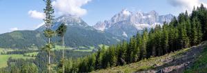 20240719101835_AT_Steiermark_7991-Pano